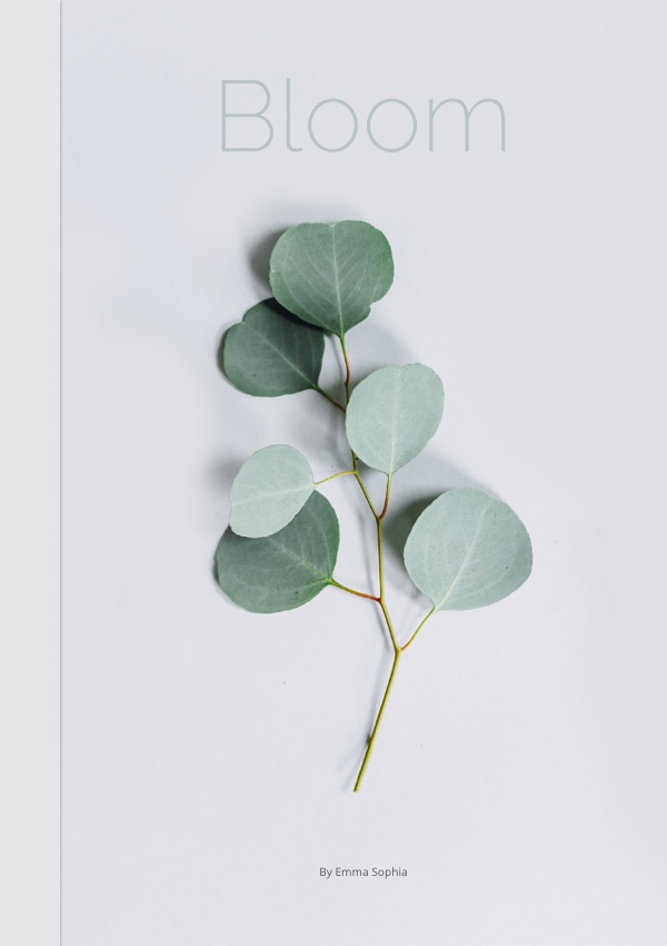 book-3